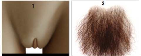 poil pubis doll