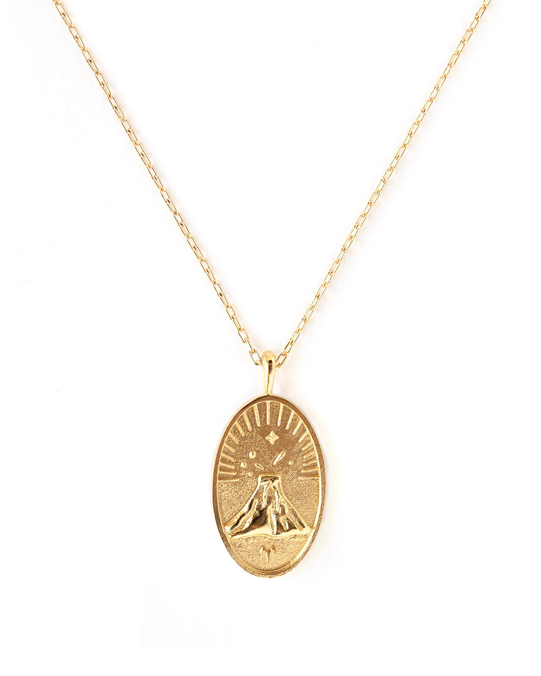 Zodiac Necklaces | Medallions as unique as you are | wellDunn jewelry