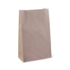 Detpak Packaging, Bags & Films Bag Checkout Self-opening Satchel #20 Slim 450x205x125
