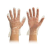 Katermaster Glove Powder Free Clear