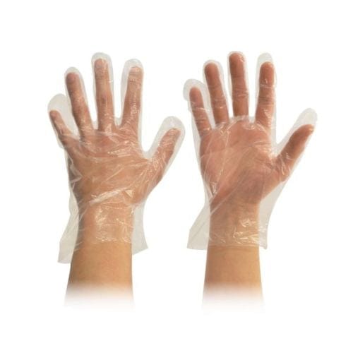 Katermaster Safety & PPE L Katermaster Glove Powder Free Clear