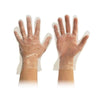 Katermaster Safety & PPE M Katermaster Glove Powder Free Clear