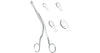 Luc Nasal Septum Forceps