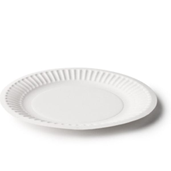 Detpak Dining & Takeaway 230mm Plate Round Paper Coated
