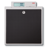 Seca 876 Flat Scale