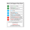 AEROGUIDE CPR Flow Chart Card 10 x 14cm