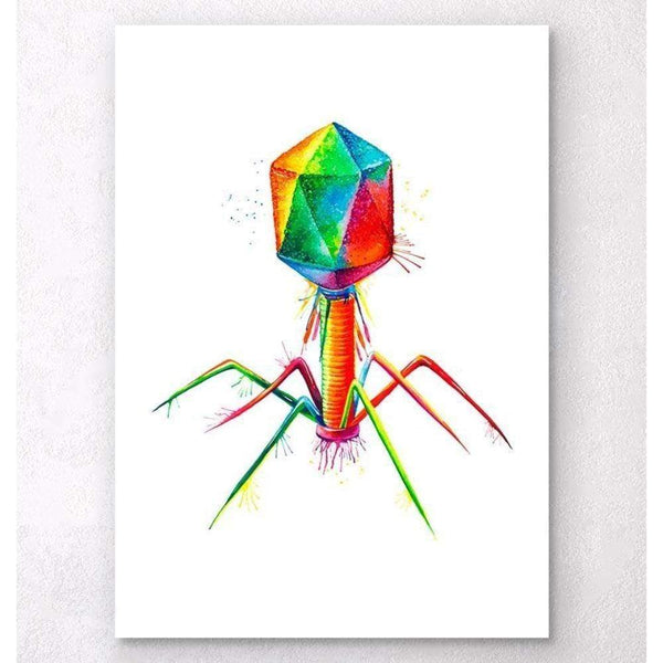 Codex Anatomicus Anatomical Print A5 Size (14.8 x 21 cm) Bacteriophage Watercolor Splash