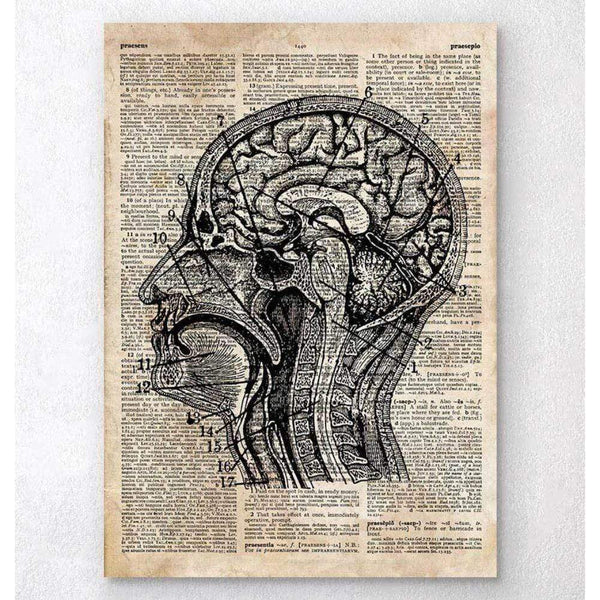 Codex Anatomicus Anatomical Print A5 Size (14.8 x 21 cm) Brain Anatomy Art I Old Dictionary Page