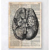 Codex Anatomicus Anatomical Print Brain Anatomy Art II Old Dictionary Page
