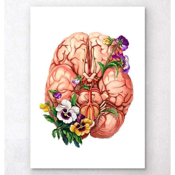 Codex Anatomicus Anatomical Print A5 Size (14.8 x 21 cm) Brain Anatomy Floral