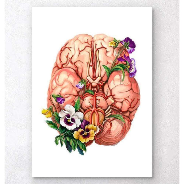 Codex Anatomicus Anatomical Print Brain Anatomy Floral