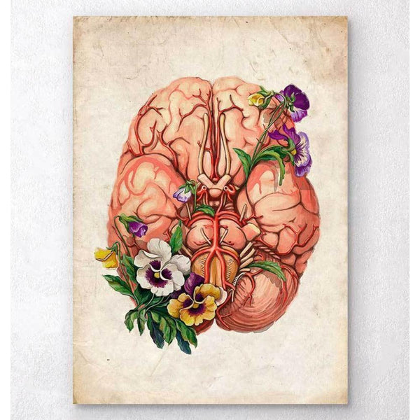 Codex Anatomicus Anatomical Print A5 Size (14.8 x 21 cm) Brain Anatomy Floral Old Paper