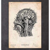 Codex Anatomicus Anatomical Print Brain Anatomy Print IV
