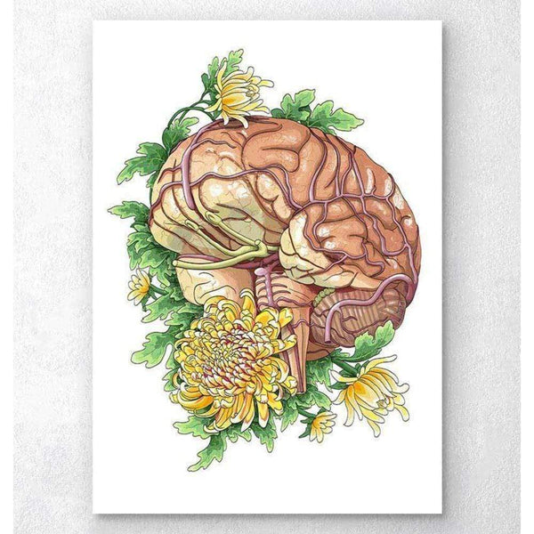 Codex Anatomicus Anatomical Print A5 Size (14.8 x 21 cm) Brain With Flowers