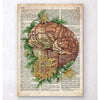 Codex Anatomicus Anatomical Print A5 Size (14.8 x 21 cm) Brain With Flowers Old Dictionary Page