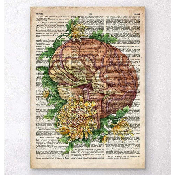 Codex Anatomicus Anatomical Print Brain With Flowers Old Dictionary Page