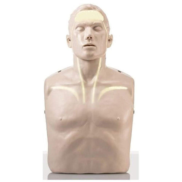 Brayden CPR Manikins Brayden CPR Manikin with Illumination