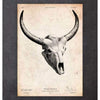 Codex Anatomicus Anatomical Print Bull Skull Print