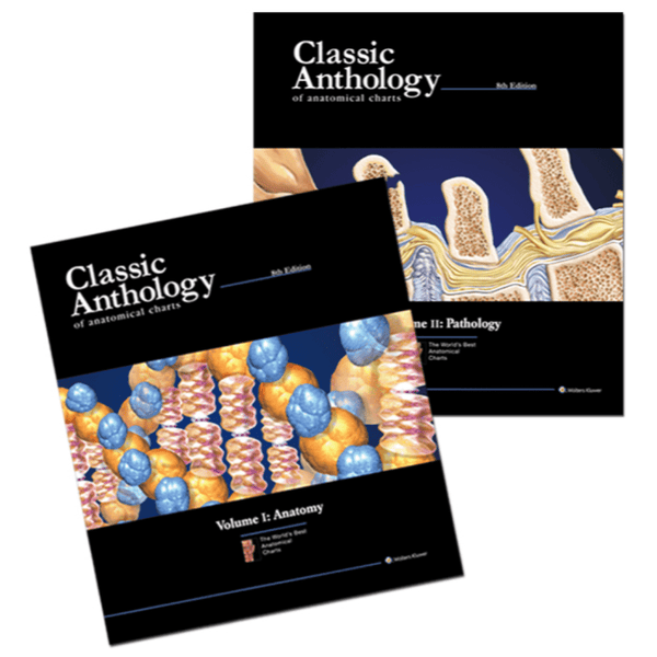 Anatomical Chart Company Books Classic Anthology of Anatomical Charts Book 2 Volume Set
