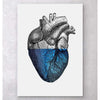 Codex Anatomicus Anatomical Print A5 Size (14.8 x 21 cm) Colorful Heart Blue