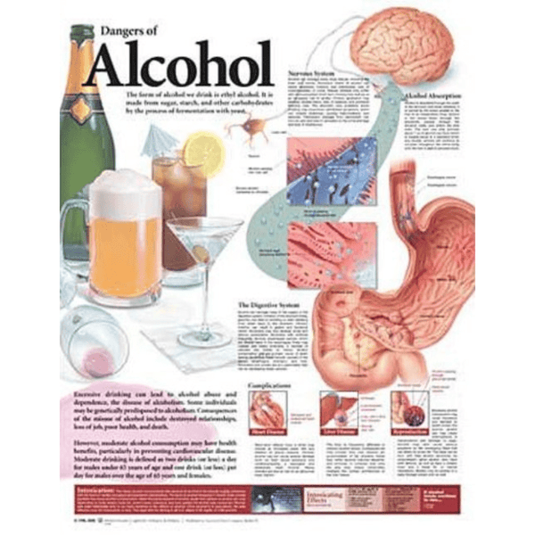 Anatomical Chart Company Anatomical Charts Dangers of Alcohol Anatomical Chart