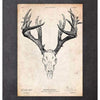 Codex Anatomicus Anatomical Print A5 Size (14.8 x 21 cm) Deer Skull Print