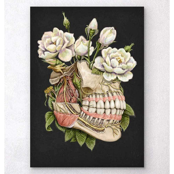Codex Anatomicus Anatomical Print Dental Anatomy Floral Black
