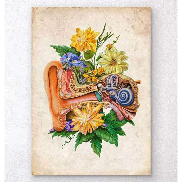 Codex Anatomicus Anatomical Print Ear Anatomy Floral Old Paper