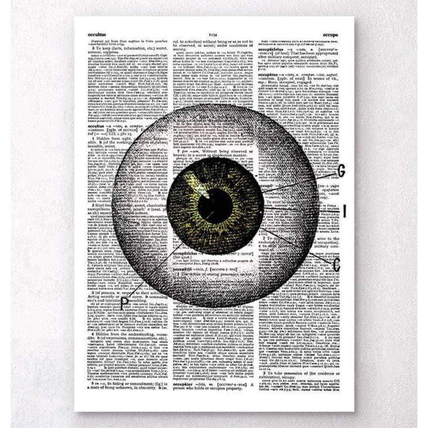 Codex Anatomicus Anatomical Print Eye Anatomy Dictionary Page