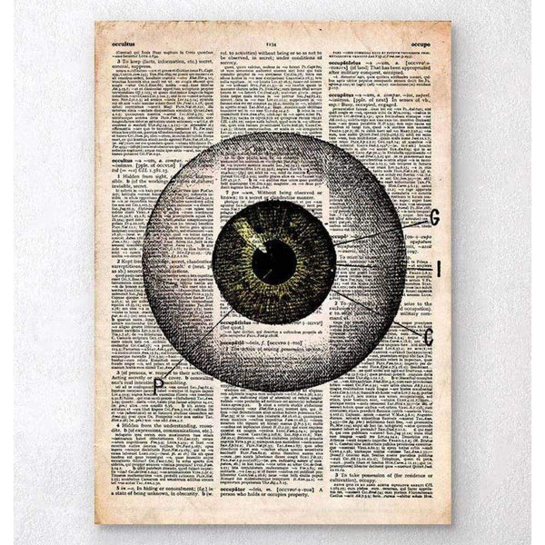 Codex Anatomicus Anatomical Print A5 Size (14.8 x 21 cm) Eye Anatomy Old Dictionary Page