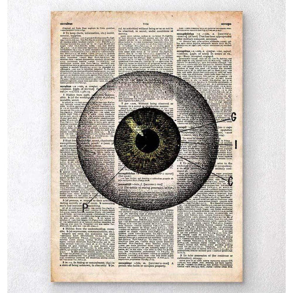 Codex Anatomicus Anatomical Print Eye Anatomy Old Dictionary Page