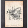 Codex Anatomicus Anatomical Print Facial Muscles Anatomy Print