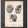 Codex Anatomicus Anatomical Print Facial Muscles Anatomy Print III