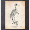 Codex Anatomicus Anatomical Print A5 Size (14.8 x 21 cm) Falcon Skeleton Print