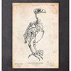 Codex Anatomicus Anatomical Print Falcon Skeleton Print