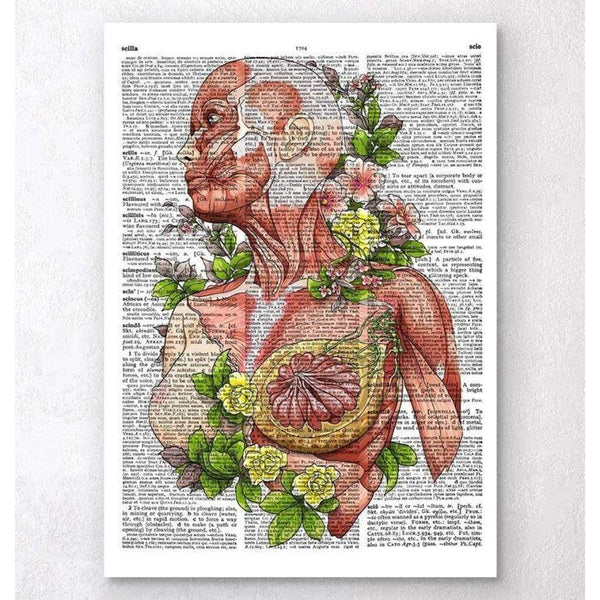 Codex Anatomicus Anatomical Print Female Body Anatomy Art Dictionary Page