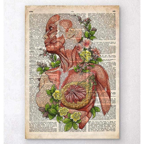 Codex Anatomicus Anatomical Print A5 Size (14.8 x 21 cm) Female Body Anatomy Art Old Dictionary