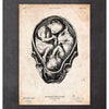 Codex Anatomicus Anatomical Print Fetus In A Womb Anatomy Print II
