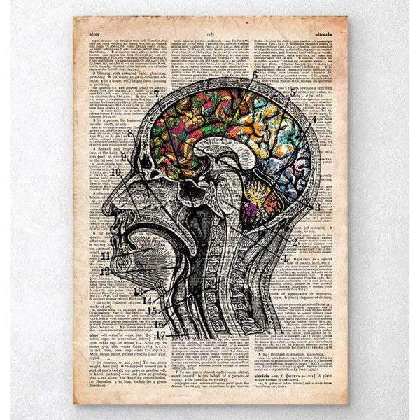 Codex Anatomicus Anatomical Print Floral Brain Art Old Dictionary Page