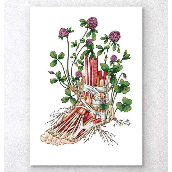 Codex Anatomicus Anatomical Print A5 Size (14.8 x 21 cm) Floral Foot Anatomy