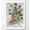 Codex Anatomicus Anatomical Print Floral Foot Anatomy Dictionary Page