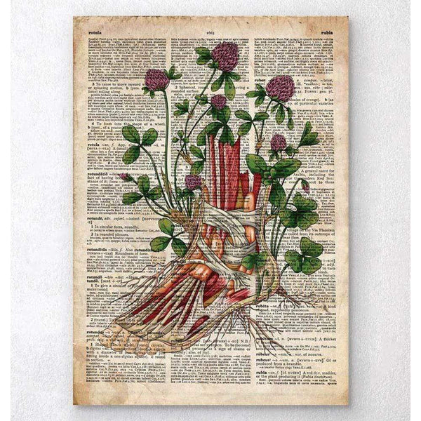 Codex Anatomicus Anatomical Print Floral Foot Anatomy Old Dictionary Page
