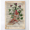 Codex Anatomicus Anatomical Print A5 Size (14.8 x 21 cm) Floral Foot Anatomy Old Dictionary Page