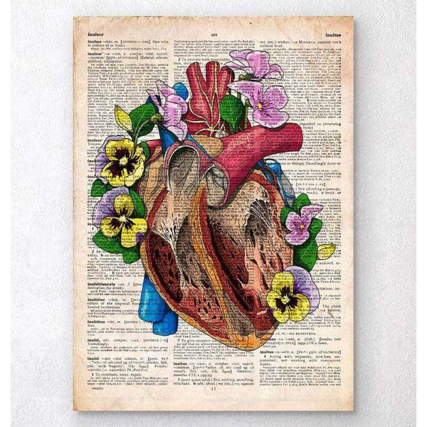 Codex Anatomicus Anatomical Print Floral Heart Anatomy II Old Dictionary Page