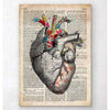 Codex Anatomicus Anatomical Print A5 Size (14.8 x 21 cm) Floral Pattern Heart Art Old Dictionary Page
