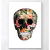 Codex Anatomicus Anatomical Print Floral Skull Art Print White Background