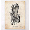 Codex Anatomicus Anatomical Print A5 Size (14.8 x 21 cm) Foot Anatomy Art Print