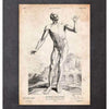 Codex Anatomicus Anatomical Print A5 Size (14.8 x 21 cm) Full Body Human Anatomy Print V