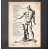 Codex Anatomicus Anatomical Print A5 Size (14.8 x 21 cm) Full Body Human Anatomy Print Vi