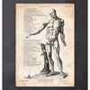 Codex Anatomicus Anatomical Print Full Body Human Anatomy Print Vi